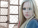 Avril LavigneֽͼƬ