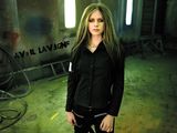 Avril Lavigne��ֽ����ͼƬ