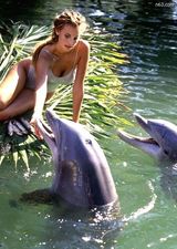 ��������̩��д��ͼƬ