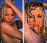 ��÷��������ɭд��ͼƬ