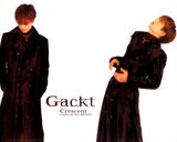 Gacktд��ͼƬ