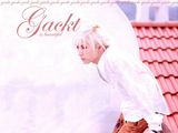 GacktдͼƬ