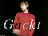 Gacktд��ͼƬ