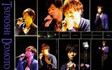 �ñ���(Kinki Kids)д��ͼƬ