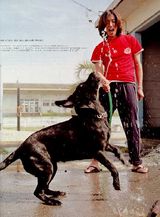 ľ������д��ͼƬ