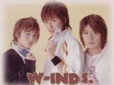 W-inds.дͼƬ