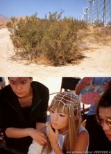 ���鲽д��ͼƬ