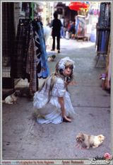 ���鲽д��ͼƬ