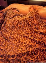 ���鲽д��ͼƬ