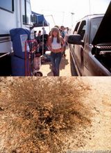 ���鲽д��ͼƬ