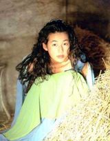 ��ľ������д��ͼƬ