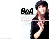 BOA������ֽ����ͼƬ