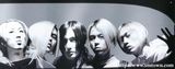 H.O.Tд��ͼƬ