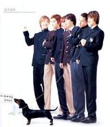 (Shinhwa)дͼƬ