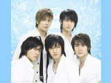 SS501дͼƬ