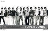 Super JuniorдͼƬ