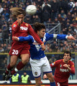 �͵�˹ͼ��д��ͼƬ