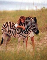 ����ܽд��ͼƬ