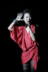 幻灯：林忆莲演唱会放大“内心戏” 常石磊等任嘉宾