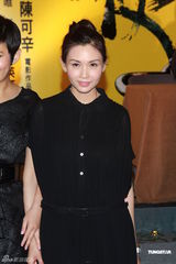 组图：《武侠》主创齐聚香港首映 众星现身助阵