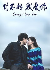 组图：电影《对不起，我爱你》海报及剧照
