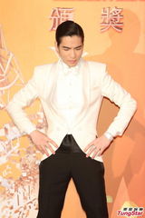 群星亮相金曲奖红毯 蔡依林美腿梁静茹性感(图)