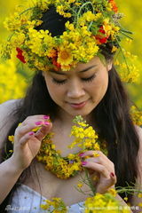 幻灯图集：芙蓉姐姐油菜花地里演绎花一样的女人