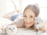 组图：孙宁温情猫咪写真 微博赞涵予黄渤很有爱