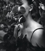 组图：陈数原始仙丛大片 尽显女人初始魅力