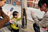 组图：女孩绘树洞画轰动全国获赞感动冬天