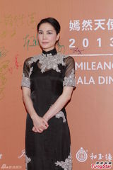 群星闪耀嫣然基金晚宴 王菲旗袍装与李亚鹏恩爱