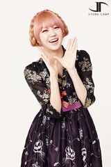 组图：韩团MBLAQ等携众星穿韩服送新年祝福