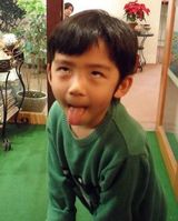 组图：张柏芝一双儿子卖萌抢镜网友追捧