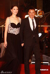 幻灯：香港金像奖颁奖红毯 任达华夫妇甜蜜亮相