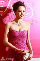 幻灯：《美丽俏佳人》千集红毯 群星云集星光熠熠