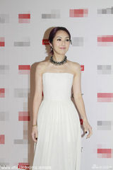 组图：斯文顿助阵慈善晚宴 范冰冰透视裙华贵