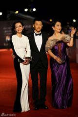 组图：金马红毯群星闪耀 舒淇深V亮胸性感爆棚