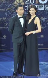 组图：《富春山居图》刘德华林志玲郎才女貌