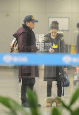 组图：陈思诚佟丽娅紧急回京 连夜录歌筹划婚礼