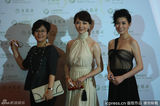 组图：第18届白玉兰奖红毯 李少红陈数佘诗曼亮相