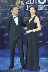 组图：《富春山居图》刘德华林志玲郎才女貌