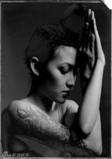 组图：林志玲范晓萱张震原住民写真展神秘诱惑