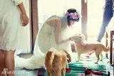组图：李孝利婚礼现场照 搞怪吐舌与宠物互动