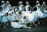 幻灯图：中央芭蕾舞团《天鹅湖》精美剧照