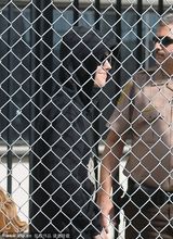 组图：比伯被保释出狱做车顶向粉丝挥手