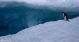 组图：成方圆南极摄影作品 冰雪世界圣洁