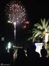 组图：郭晶晶南沙婚宴派对 现场鸣放烟花