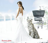 高清图：10月新娘黄慧英拍婚纱写真 花豹陪衬显个性