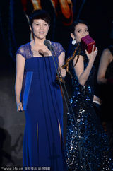 组图：导演协会举行表彰大会 冯小刚获年度导演