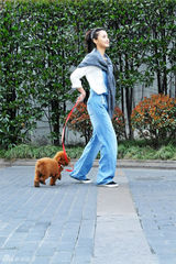 组图：张歆艺潮流街拍写真 引领白领穿衣之道